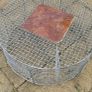 Larsen trap Image 2