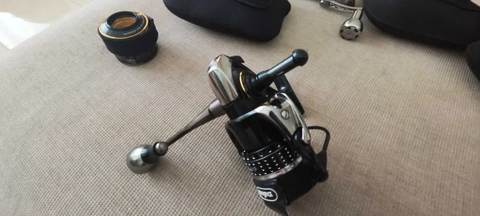 Daiwa Moretham Branzino 3000