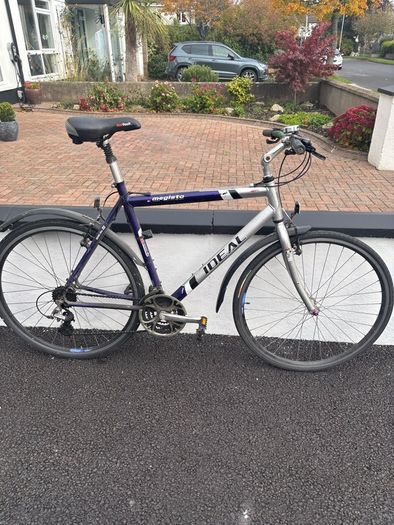 Mens Bicycle