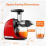 AMZCHEF Cold Press Slow Juicer Nearly New Image 4
