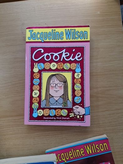 Selection of  Jacqueline Wilson Books