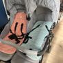 Joie double buggy Image 2