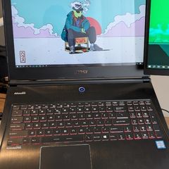 MSI Gaming Laptop: GS60-6QE-Ghost-Pro, 4k screen, 1TB Harddrive+SSD version