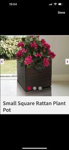 Rattan square pot