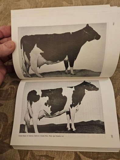 The International Friesian Strain Comparison Trial. A World Perspective.  By H.a. Jasiorowski. M. Stolzman. Z. Reklewski. First Edition Paperback In Good Condition.