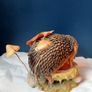 Country Artists Hedgies "Conkered Out" Figurine Hedgehog Collectible Ornament Image 4