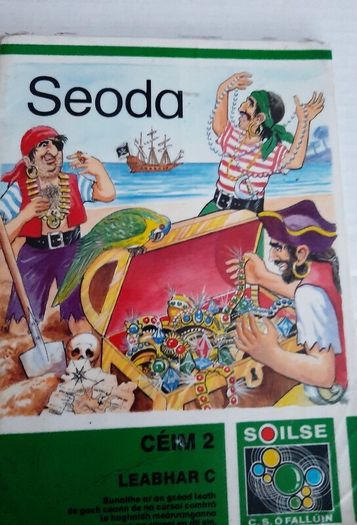 Gaeilge Fallons vintage school books