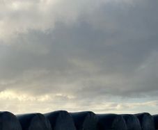 Silage