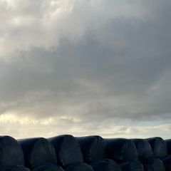 Silage