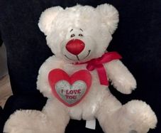 valentines heart teddy like new