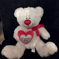 valentines heart teddy like new
