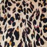 Perfect for Summer. beautiful leopard print, bias cut, midi skirt from Boohoo Image 3