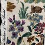 Vintage Sanderson Fabric 11 Metres Cluny Image 10