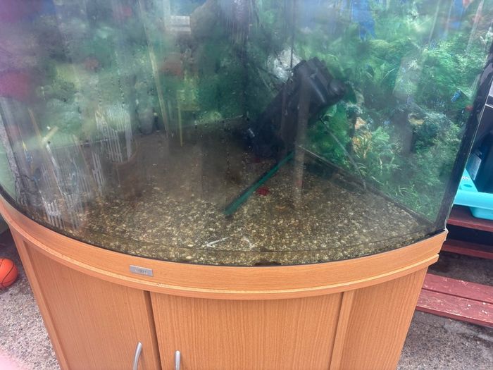 fish tank