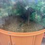 fish tank Image 2