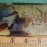Antique Japanese Cigarette or Cigar Case with Beautiful Lacquered Birds Image 10