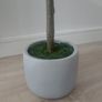 Artificial Tree Image 5