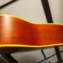 All Solid Wood Tanglewood Earth 200 SN Acoustic Guitar Made in Korea Image 4