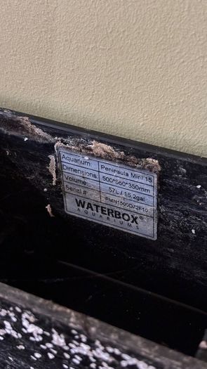 Waterbox 57L Fish Tank