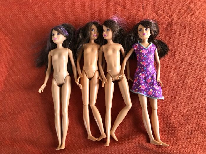 Mattel skipper dolls
