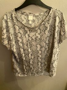 H&M large top