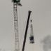 cranegame