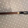 Walking stick Image 7