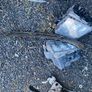 Gti Golf radiator and intercooler Image 8