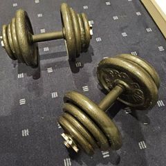 2x 20kg Cast Iron Dumbbells