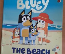 Bluey books x 2