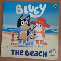 Bluey books x 2