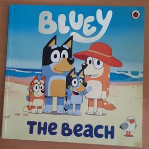 Bluey books x 2