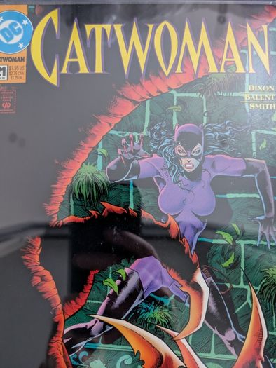 Catwoman Issue 7 and 21 CGC 9.8 Graded Comic Books Batman knightfall knightquest Balent DC