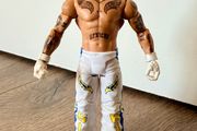 Wwe figure