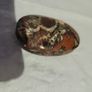 Money palm stone Image 3