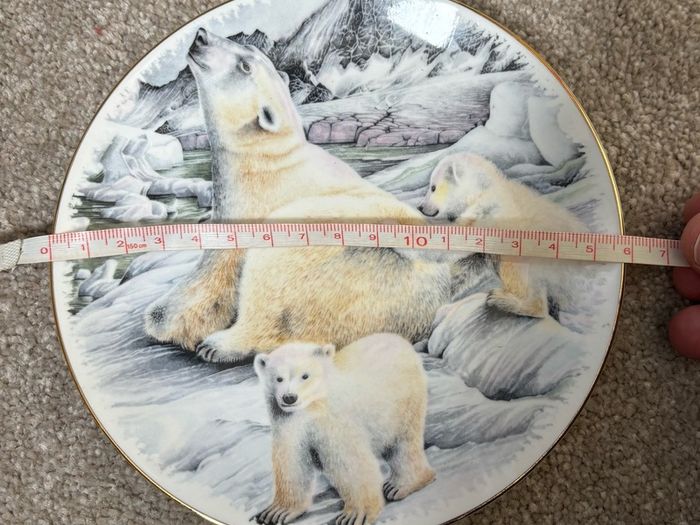Decorative Polar Bear Plate by Harrogate Cruse