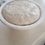 Sourdough starter Organic Image 5