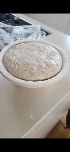Sourdough starter Organic