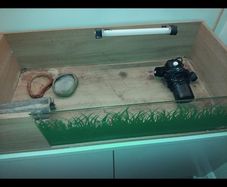 Pet accessories