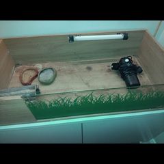 Pet accessories