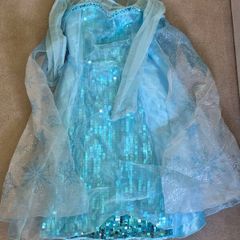 Elsa Dress - Disney Original