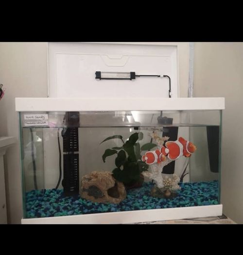 Fish tank