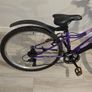 Apollo Independence Mountain Bike Image 5
