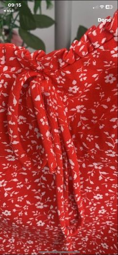 top Bnwt size large red Zara top