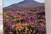 IRELAND/ A Smithsonian Natural History /Michael Viney/ 2003