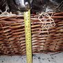 Christmas Basket with straw ( large) Image 2