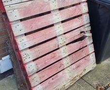 Wood Pallet