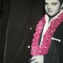 Elvis Image 8