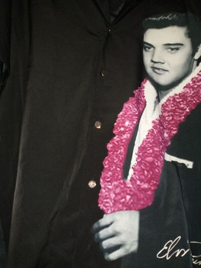 Elvis