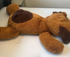 Large Teddy